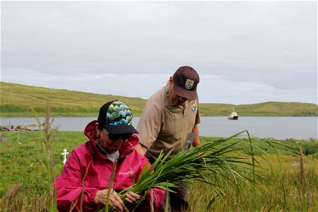 Return to Attu 2017 - Grass Gathering photo