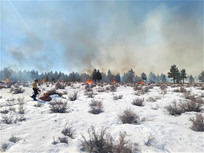 Twin Lakes Prescribed Burn photo