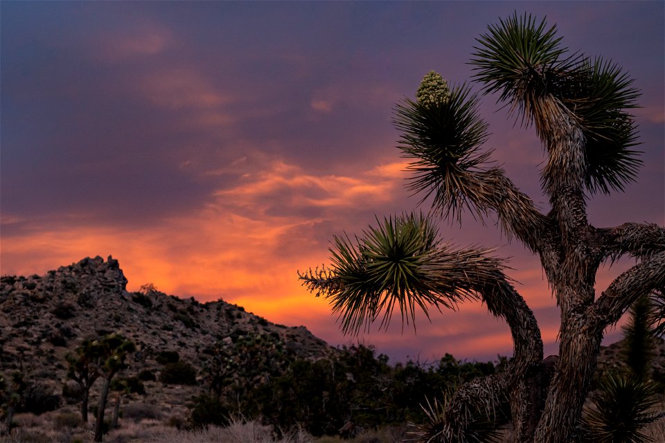 Sunset at Black Rock Canyon photo