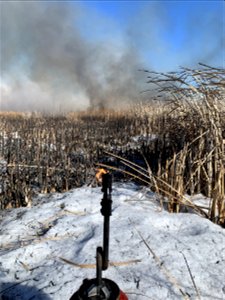 2021 USFWS Fire Employee Photo Contest Category: Fuels Management photo