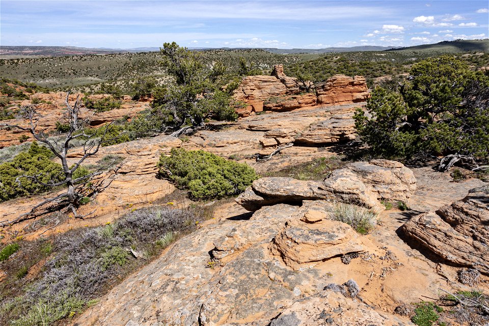 Red Canyon