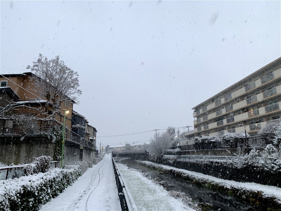 Kurome River in Shimosato, Higashikurume-shi
