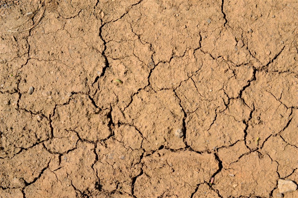 Free textures with cracks