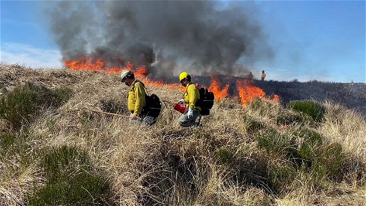 Siuslaw Oregon Dunes Prescribed Burn 2022