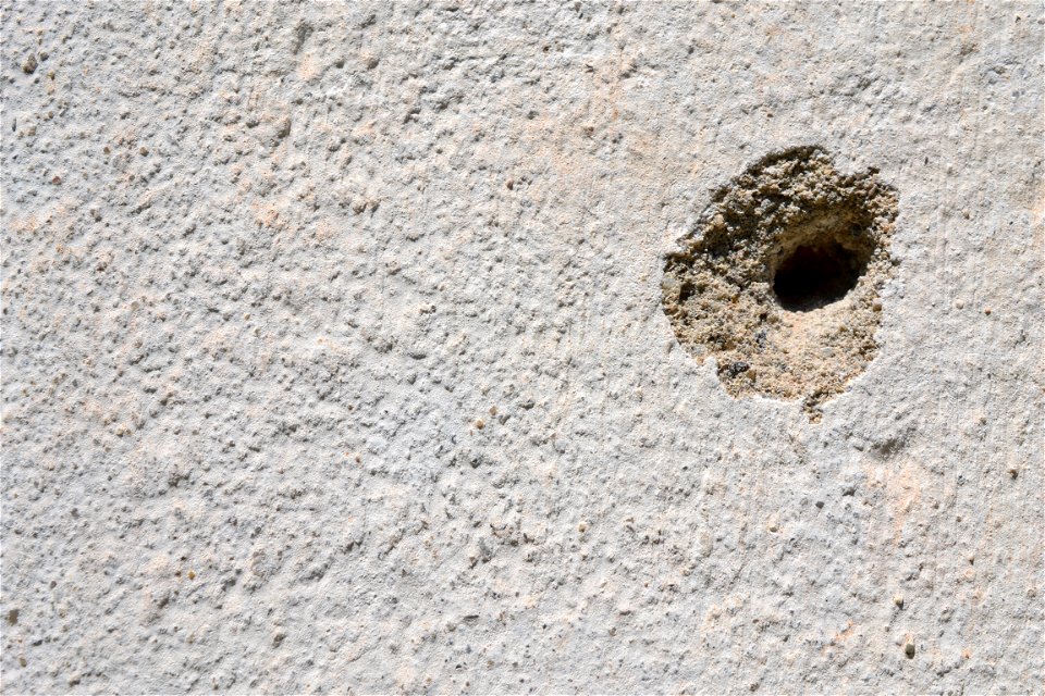 Free texture