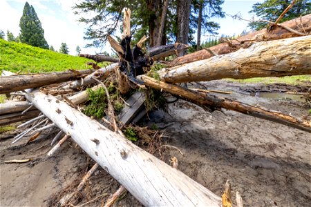 Yellowstone flood event 2022: Slough Creek Campground picnic table and trees