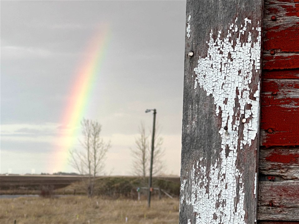 Beyond the Barn