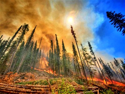 Summit Trail Fire