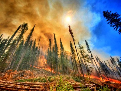 Summit Trail Fire photo