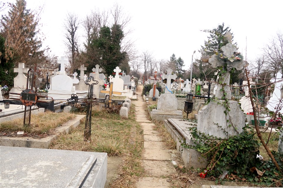 cimit_SfVineri2023_0225_140722(2)