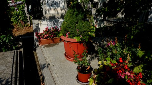 SfVineri_cemetery2021_0731_084452