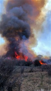 Walker Levee Fire photo
