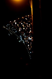DSC08732