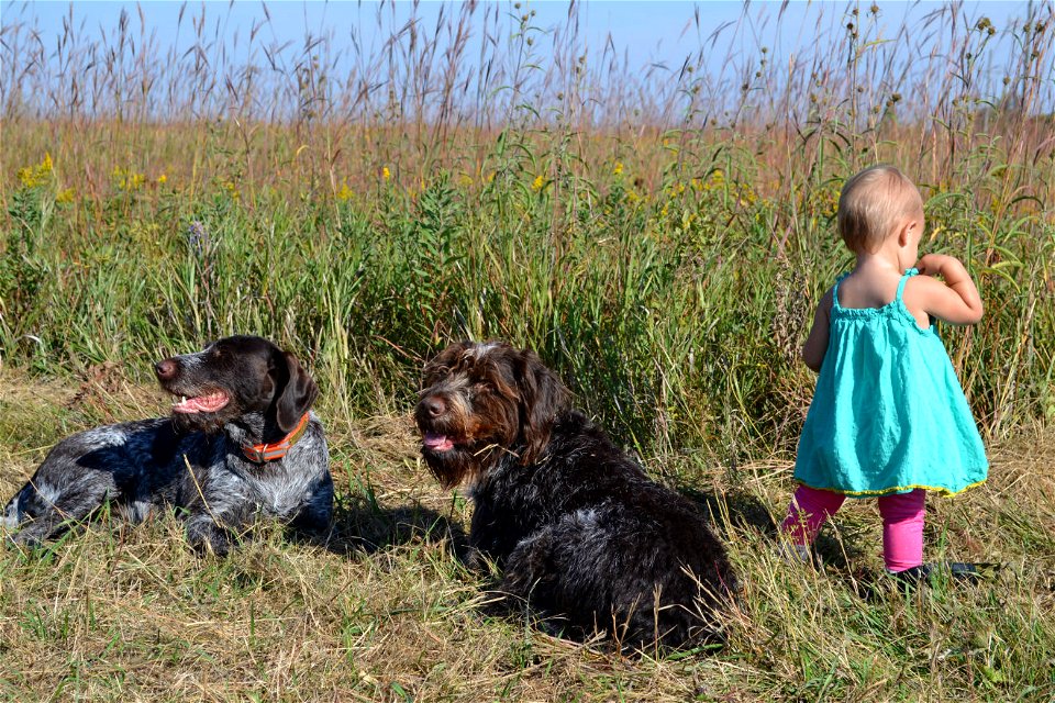 Exploring the prairie photo