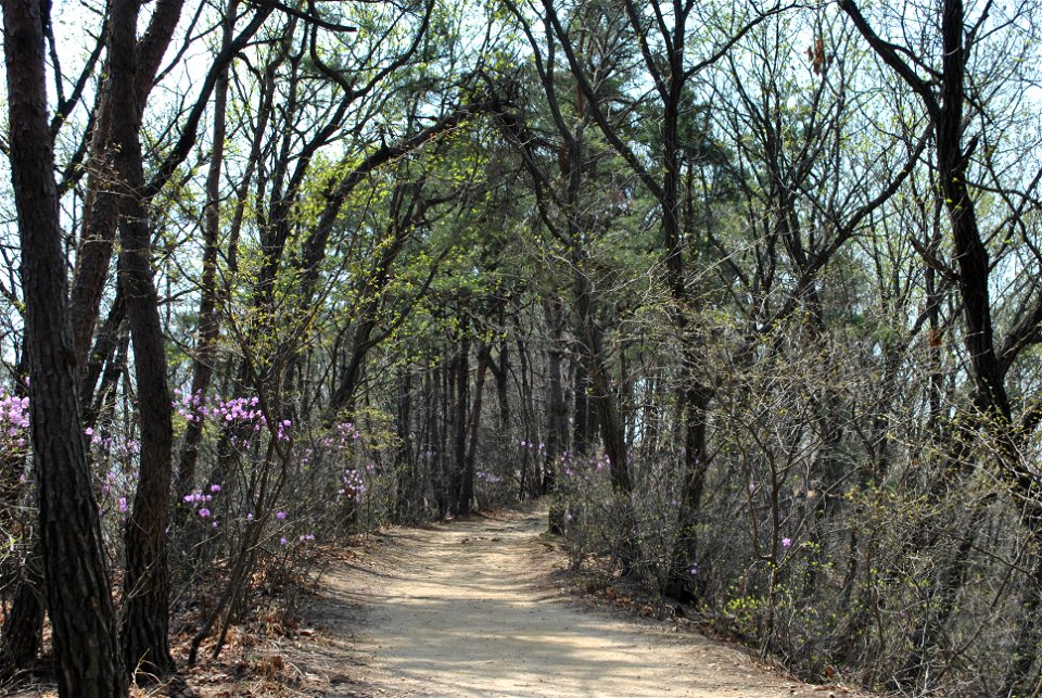 Taejosan Mountain