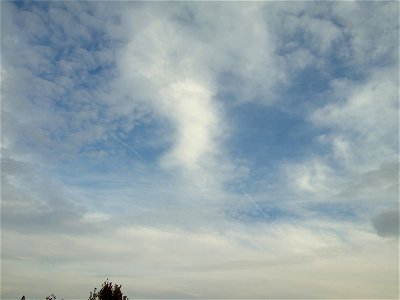 nori-fabr2008_1121_030845