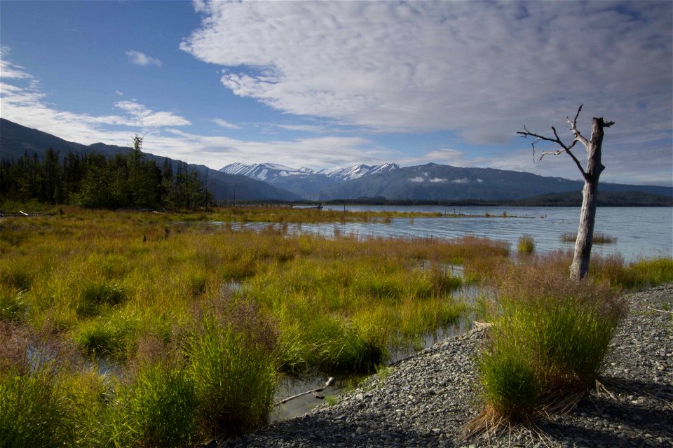 tustumenasnag_berkley_bedell_usfws
