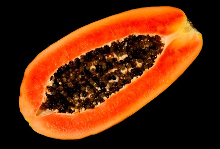 Papaya photo