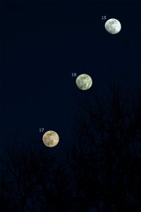 Moon on January 15, 16 and 17, 2022