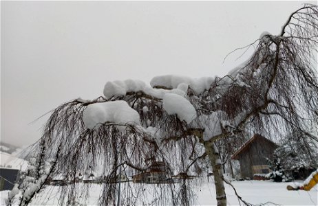 IMG_20211211_150035