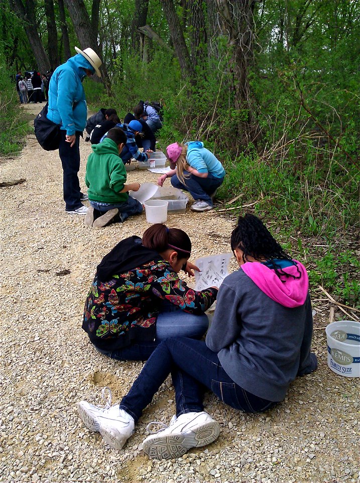 Healthy Habitats