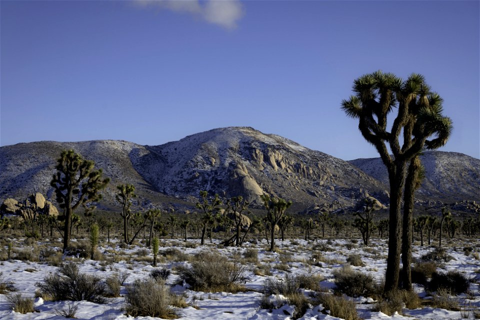 Snow over Ryan Mountain and the Hidden Valley area