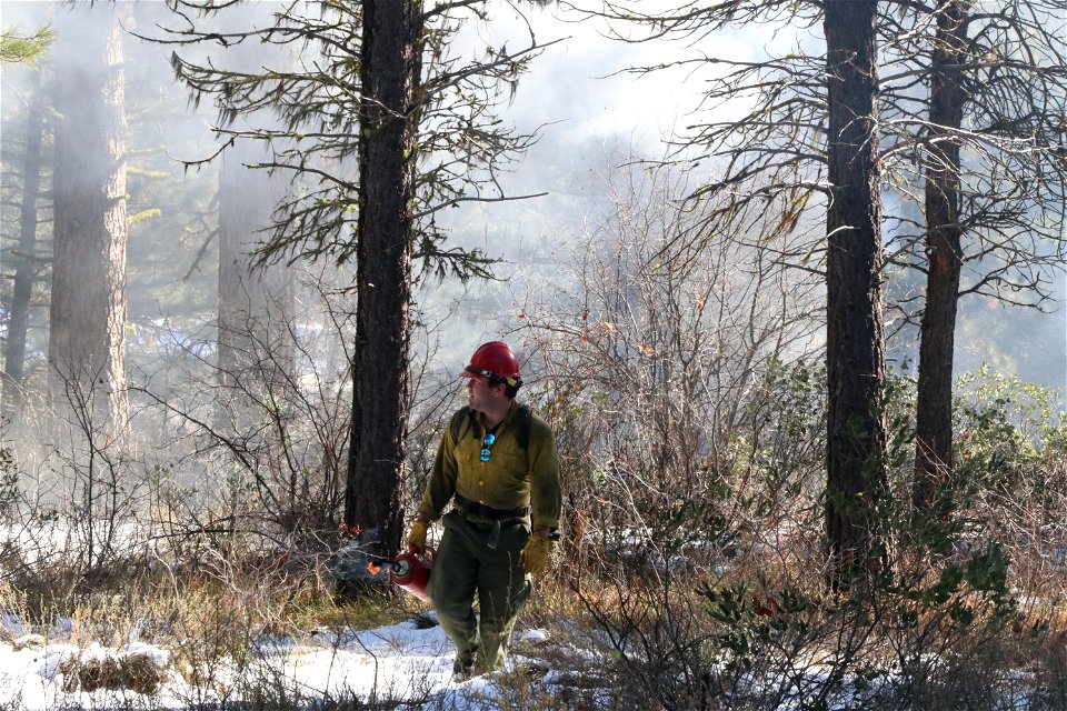 Charcoal Gulch Pile Burn, Idaho City photo