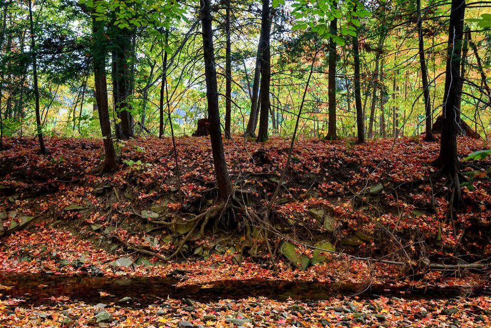 Sawmill Creek