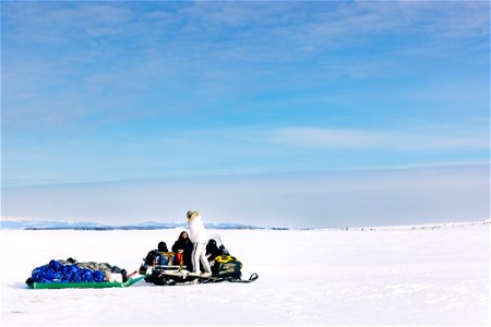 Winter travel on the tundra photo