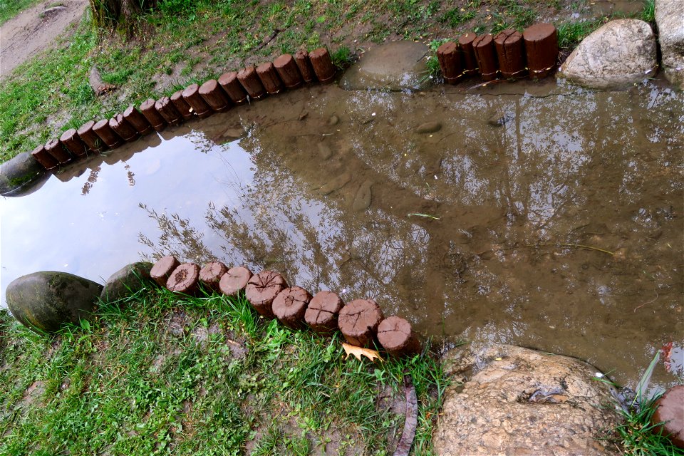 japanes_garden_rain_Herastrau (3)