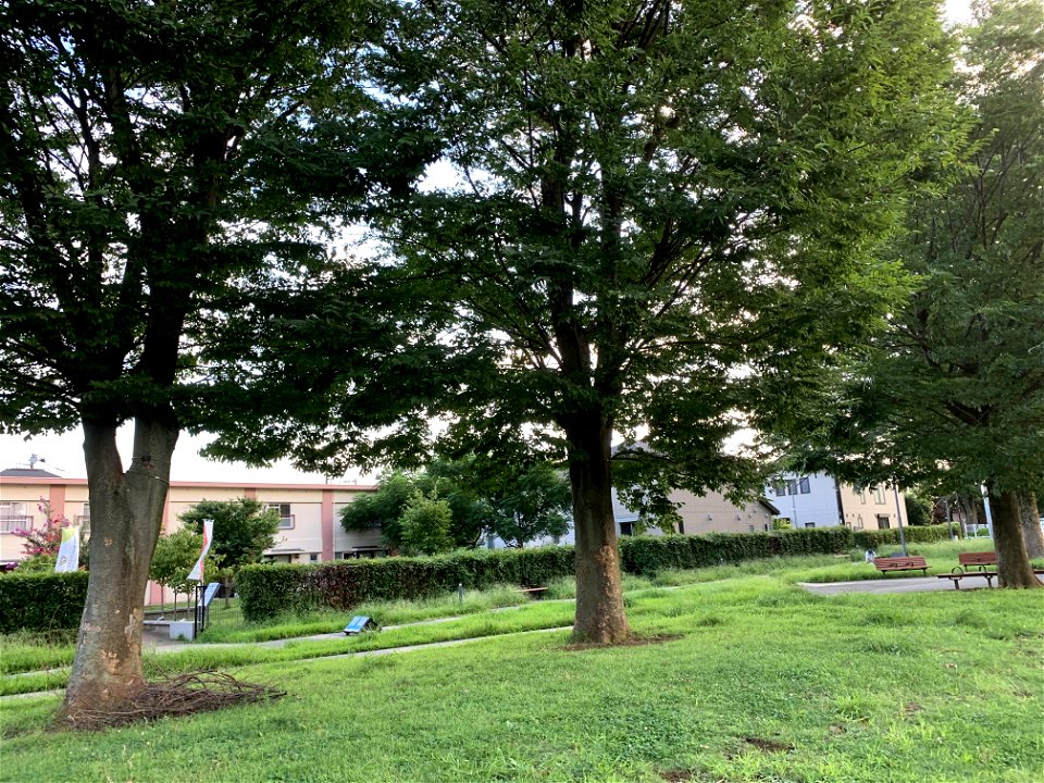 Hibarigaoka Nishikeyaki Park in Nishitokyo-shi