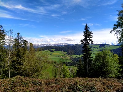 IMG_20210523_163410