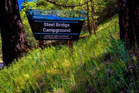 Steel Bridge Campground and River Access