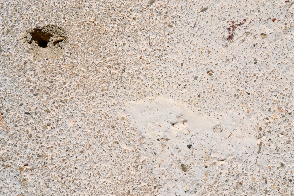 Free texture