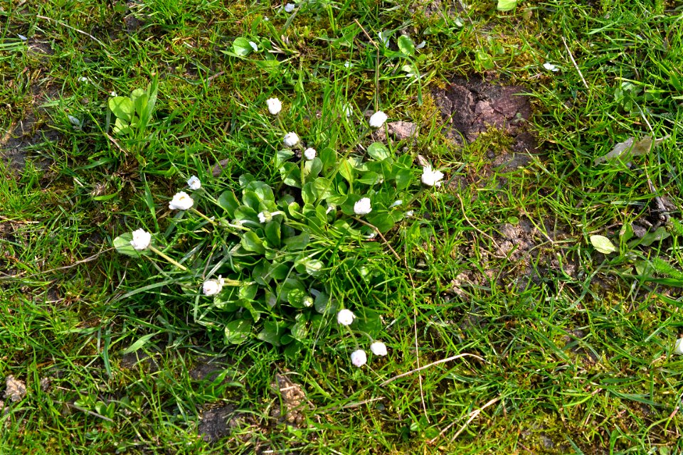 Spring ,April 2023