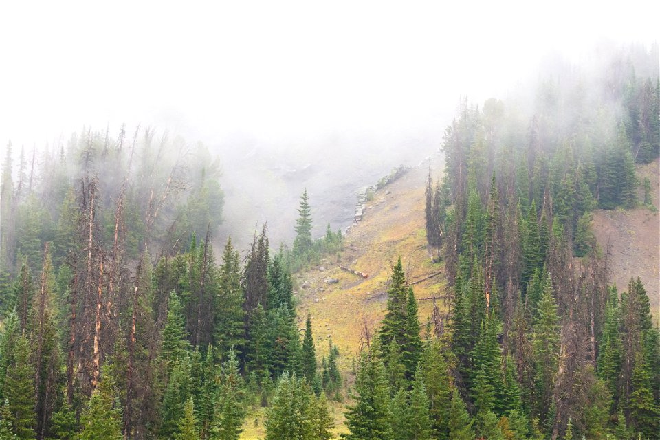 Low cloud ceiling near Lamar Mountain