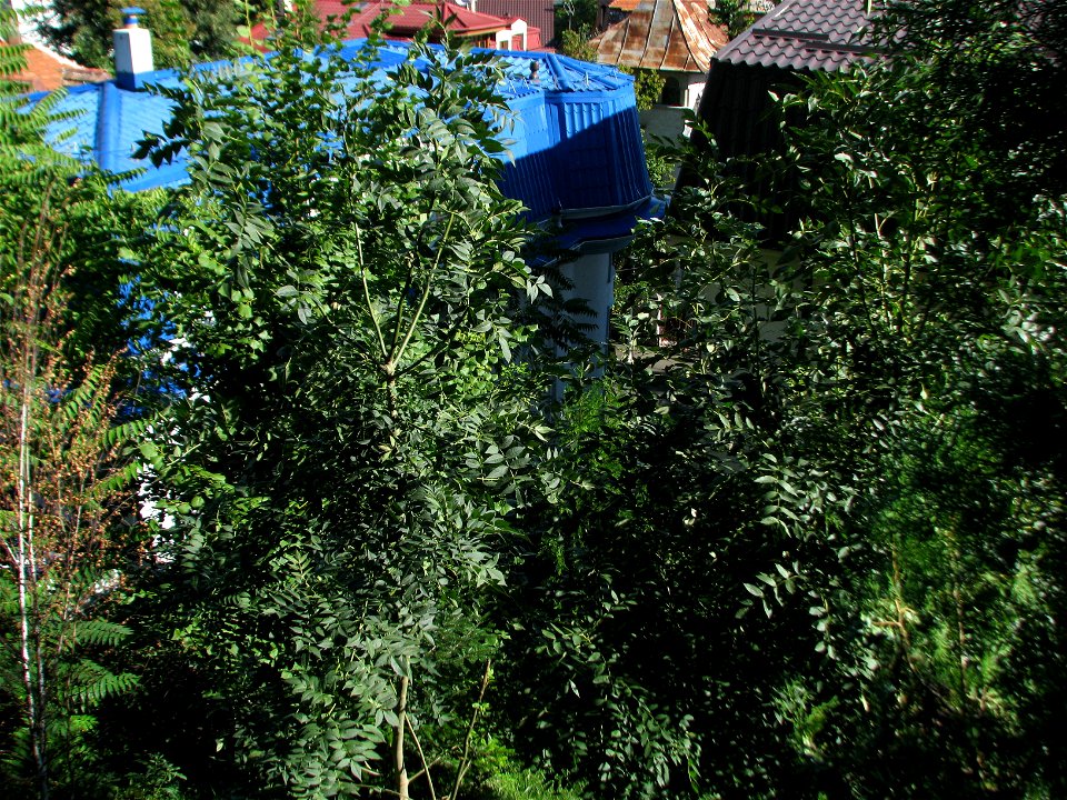 Panorama from panduri (1)