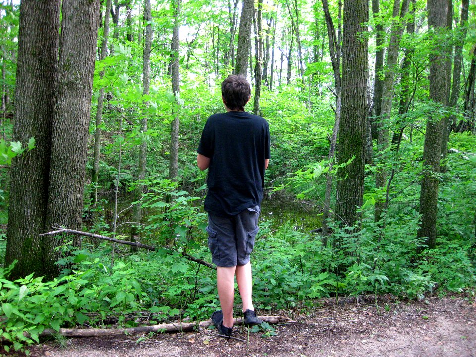 Ian viewing a vernal pool at Tamarac NWR