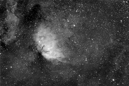 Tulip Nebula Sh2-101 photo