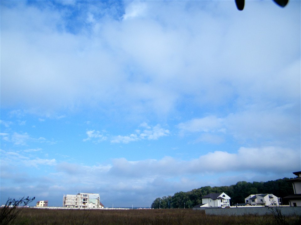 nori2010_0930_085714