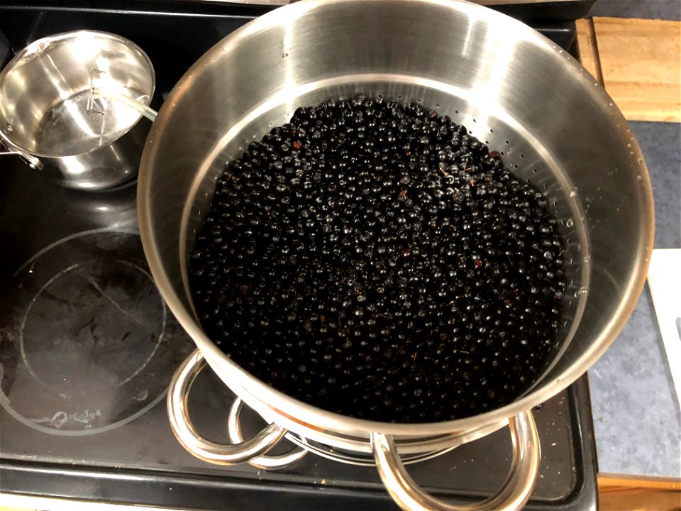 Steaming Chokecherries