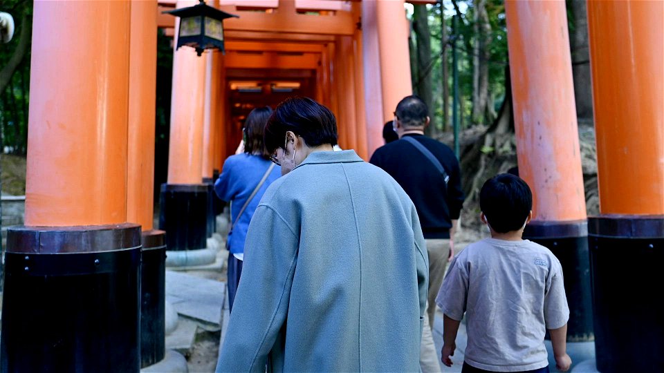 伏見稲荷/Fushimi Inari Shrine photo