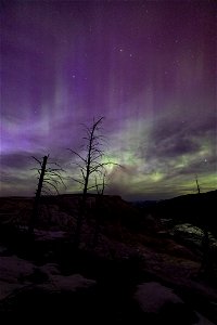 Northern Lights April 23, 2023: Canary Spring (portrait) photo