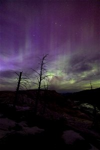 Northern Lights April 23, 2023: Canary Spring (portrait)