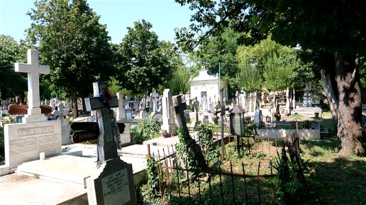 Bellu_cemetery (29) photo