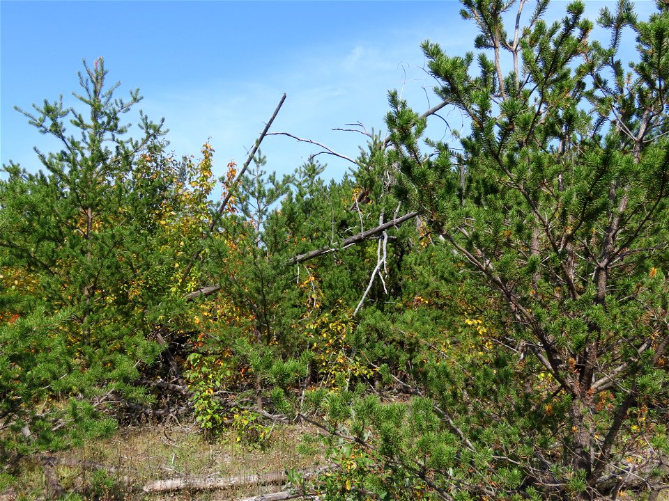 20220913-FS-Superior-SAR-032