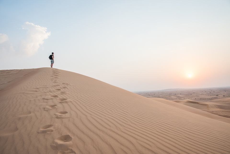 Walking In The Desert