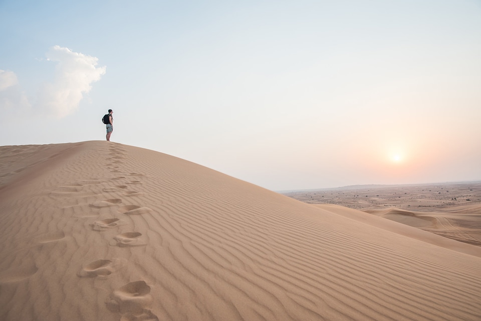 Walking In The Desert photo