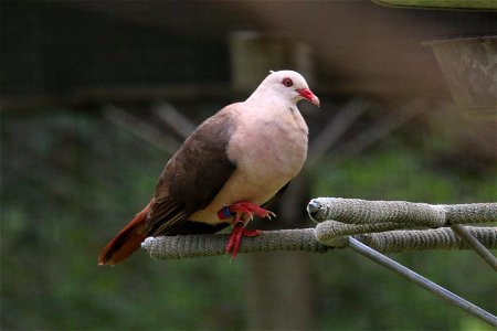 ZZIMG_8417