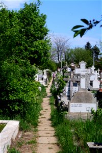 cimitir Sfanta Vineri (35)